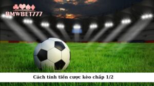 Cách tính tiền cược kèo chấp 1/2