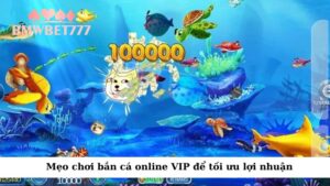 Mẹo chơi bắn cá online VIP để tối ưu lợi nhuận