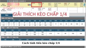 Mẹo chơi kèo chấp 1/4 hiệu quả
